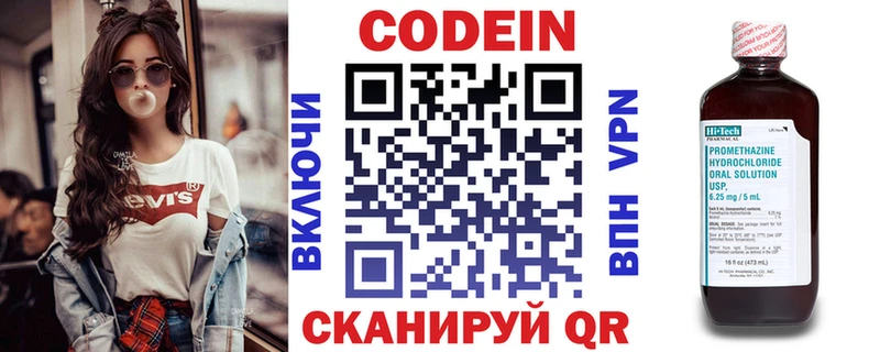 Купить закладки  Райчихинск  Кодеиновый сироп Lean Purple Drank 