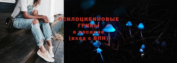 шишки Зеленокумск