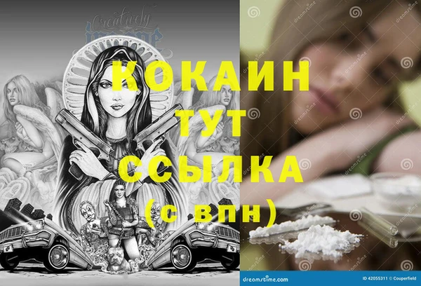 шишки Зеленокумск