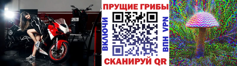Галлюциногенные грибы мухоморы  Купить  Райчихинск 